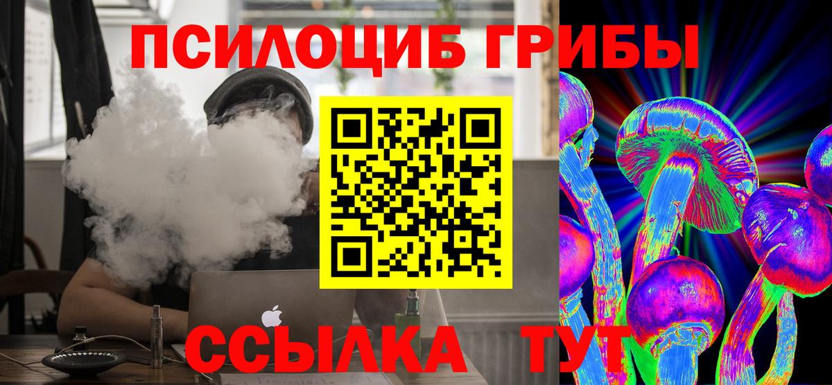 Псилоцибиновые грибы мицелий Мценск