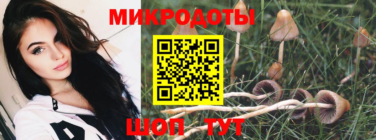 Галлюциногенные грибы прущие грибы  Вход с VPN  Псилоцибиновые грибы MAGIC MUSHROOMS  Мценск 